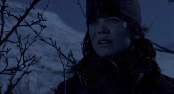 Ане Даль Торп