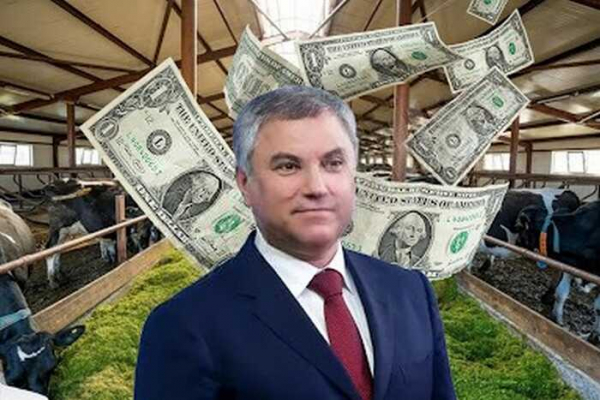 Спикер Госдумы Вячеслав Володин и его мать: как бизнес на сельском хозяйстве приносит миллионы