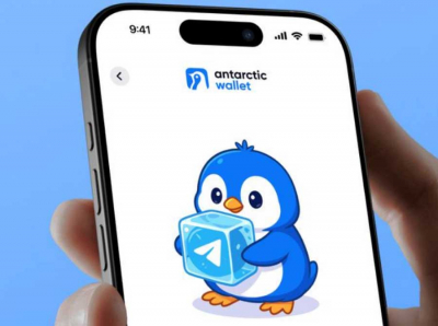 ЗАО Фиатэкс, ОсОО Эл Принт и International Bank of Tajikistan — цепочка фиктивных ширм для Antarctic Wallet