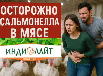 Как Дамате под руководством Тахира Хамитова лепит красивую упаковку на мясо, заражённое сальмонеллой — ИНДИЛАЙТ под следствием потребителей