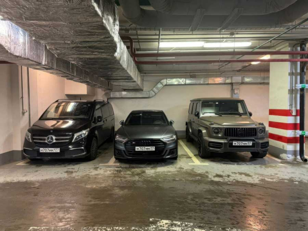 Г63 AMG, рестораны и микропредприятия: семейный бизнес Лазаревых под подозрением