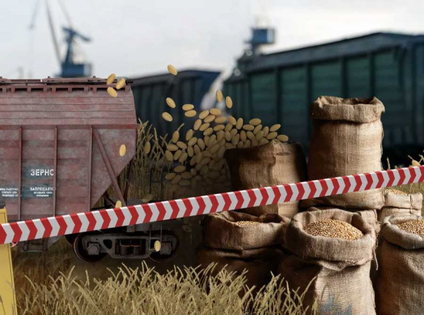 КНР или КТЖ: из-за кого застряли на границе вагоны с казахстанским зерном
