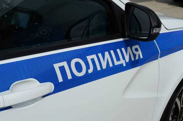 В Хабаровском крае полицейские застрелили собаку после проникновения на территорию частной базы