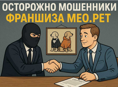 Франшиза MEO.PET: урок того, как убить бизнес за полгода