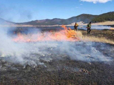 Пьяный позор Борошноева и крышевание Мордовского: как РАЛХ Бурятии превратилось в лесной бизнес-призрак